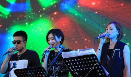 中演協(xié)經(jīng)紀人委員會專業(yè)護航，沈陽法庫音樂節(jié)圓滿落幕