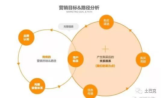 互聯網+合作社 新型農業開啟致富新篇章，數據處理服務成為關鍵引擎
